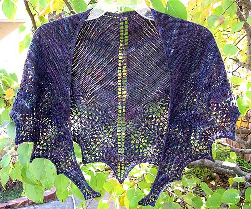 in_the_land_of_oz_draped_front_medium